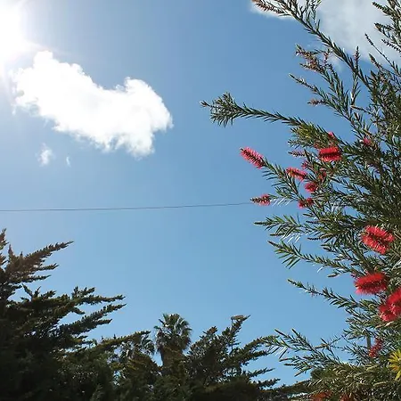 Holiday home Case Vacanza Le Mimose Gallipoli